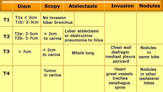 Tnm Lung Cancer Staging Chart